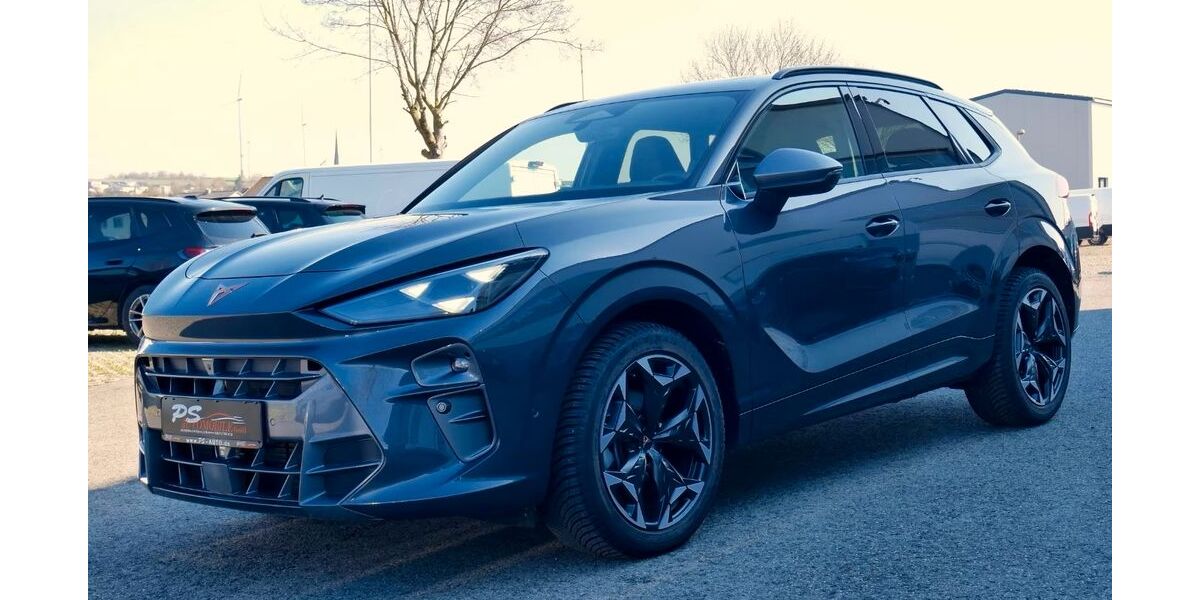 Cupra Terramar 16.950 km 34.988 &euro; Streufdorf 98646