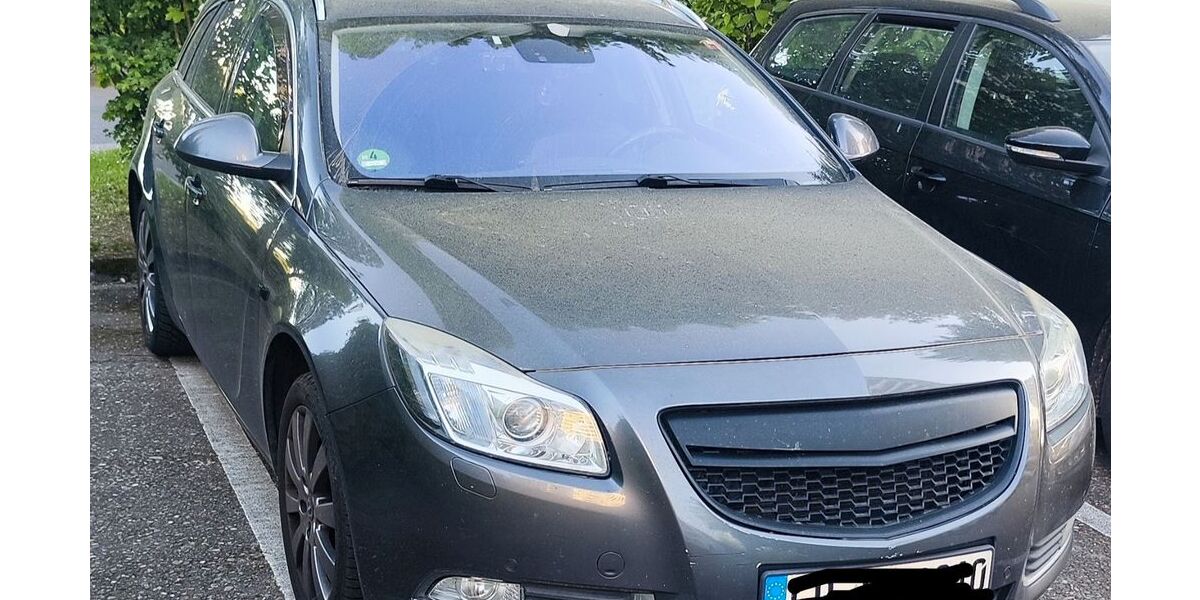 Opel Insignia 318.500 km 7.800 &euro; Lahr/Schwarzwald 77933