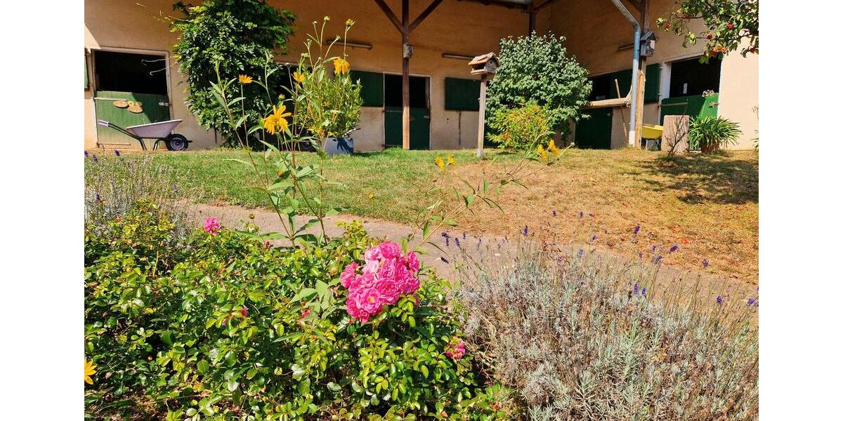 Einfamilienhaus Birkenfeld - 860.000&euro; | Angebot:26266442