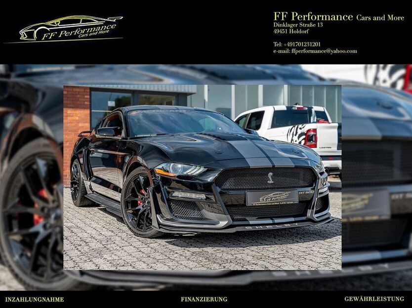 Mustang