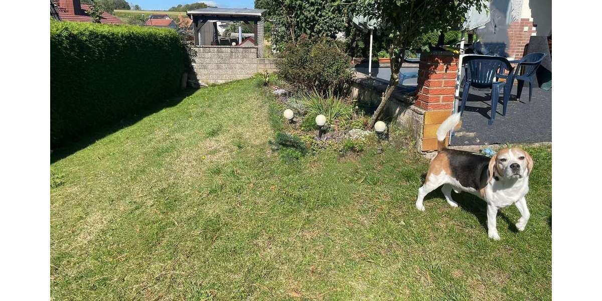 Haus zum Kaufen in Gedern 275.000 € 142 m² - Einfamilienhaus Gedern | Angebot:24933130