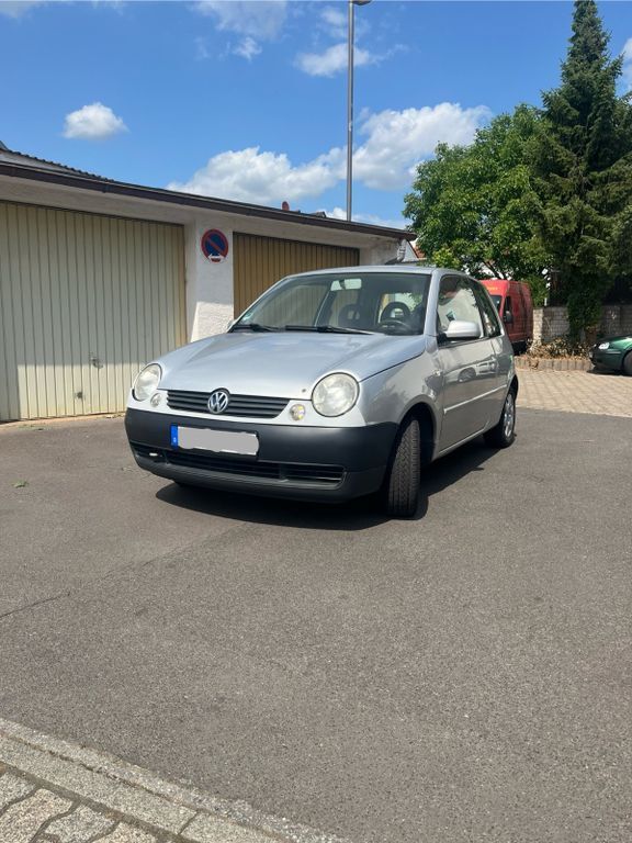 Lupo