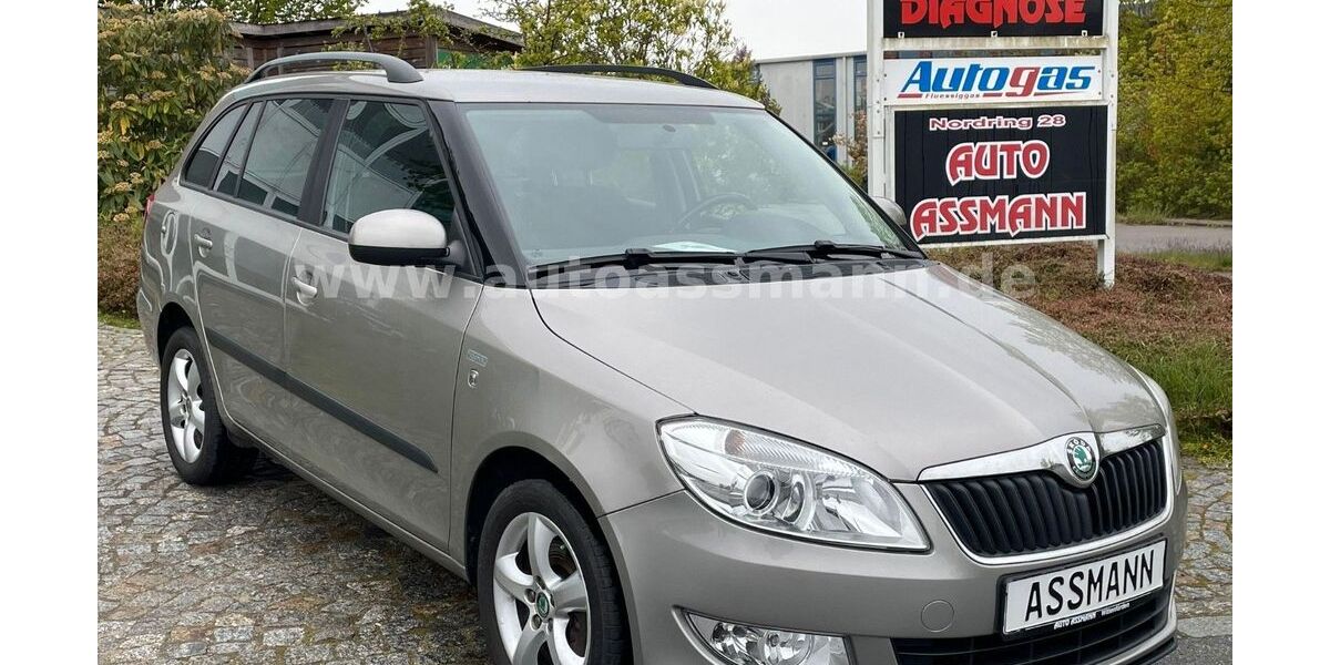 Skoda Fabia 154.804 km 5.990 &euro; Wittenförden 19073