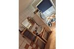 3,5 Zimmer ETW Herne Holthausen