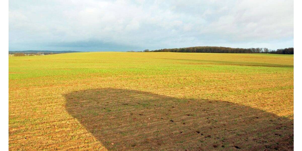 Grundstück Zirchow - 92.285&euro; | Angebot:25746422