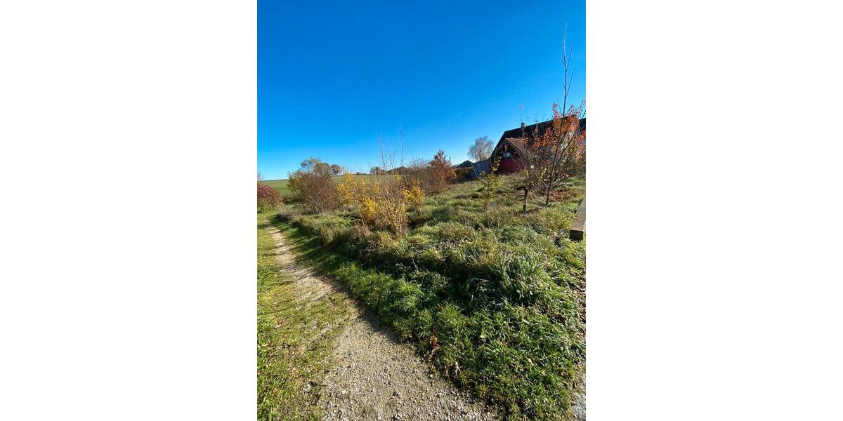 Grundstück Langquaid - 150&euro; | Angebot:26075007
