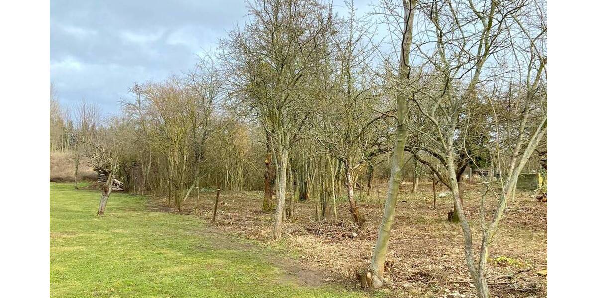 Grundstück Benndorf - 78.000&euro; | Angebot:25701011