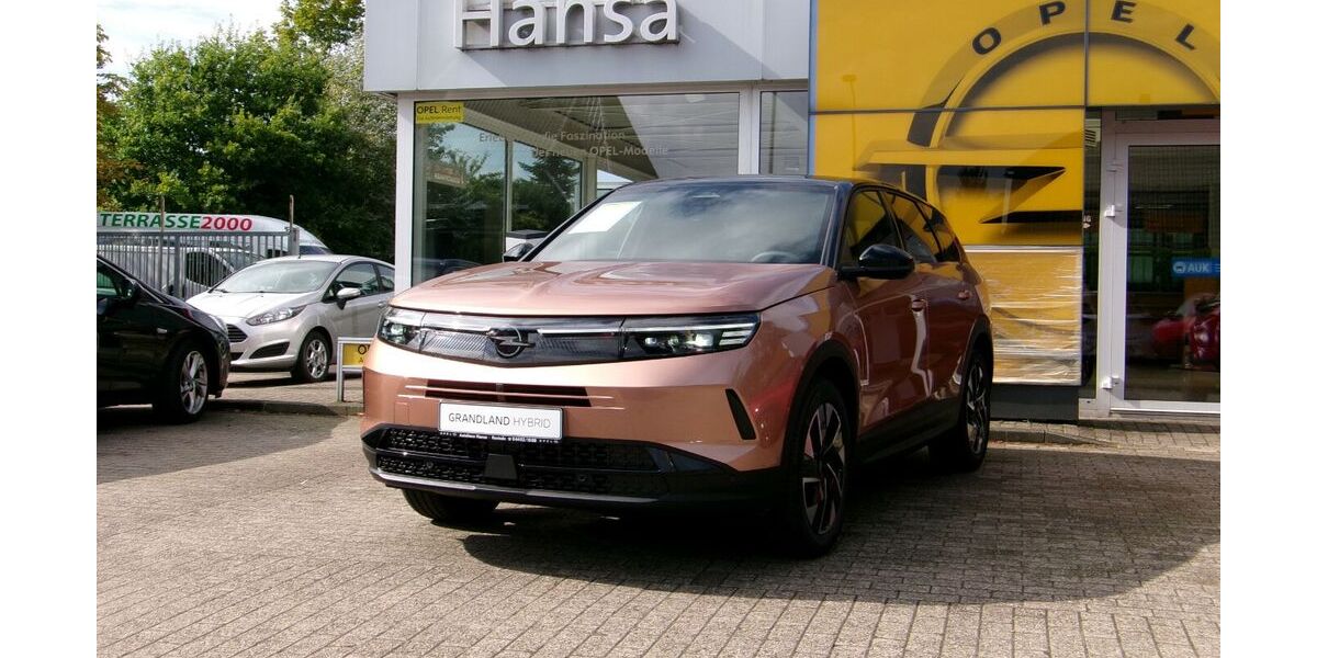 Opel Grandland (X) 2.000 km 33.650 &euro; Rastede 26180