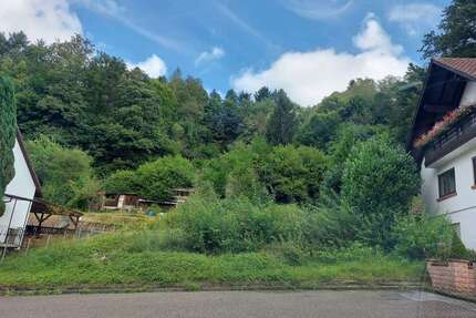 Grundstück zu verkaufen in Pirmasens 45.000 € 767 m²