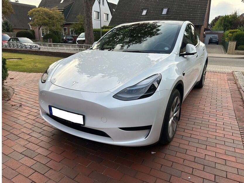 Model Y