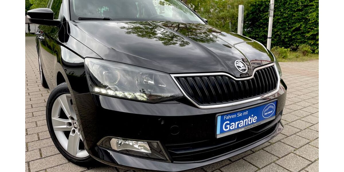 Skoda Fabia 78.400 km 13.999 &euro; Worms 67547