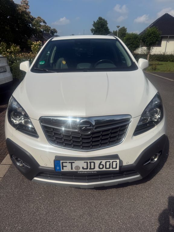Mokka