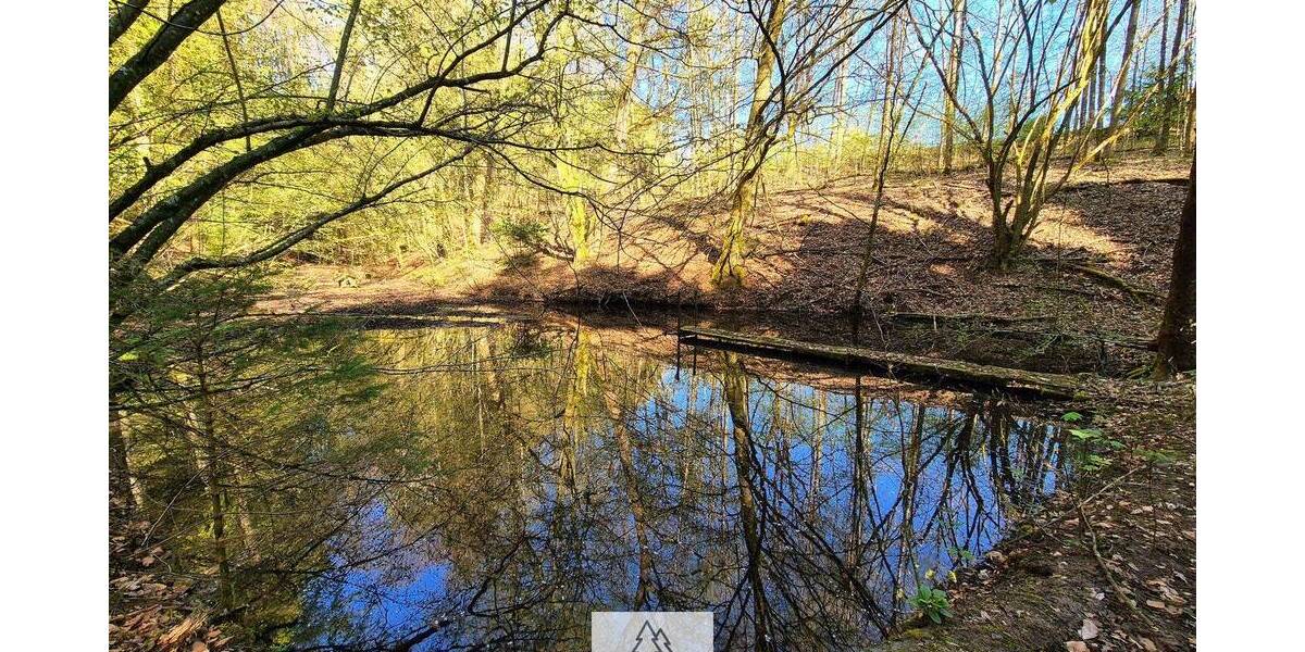 Grundstück Mainhardt Ammertsweiler - 34.900&euro; | Angebot:26798338