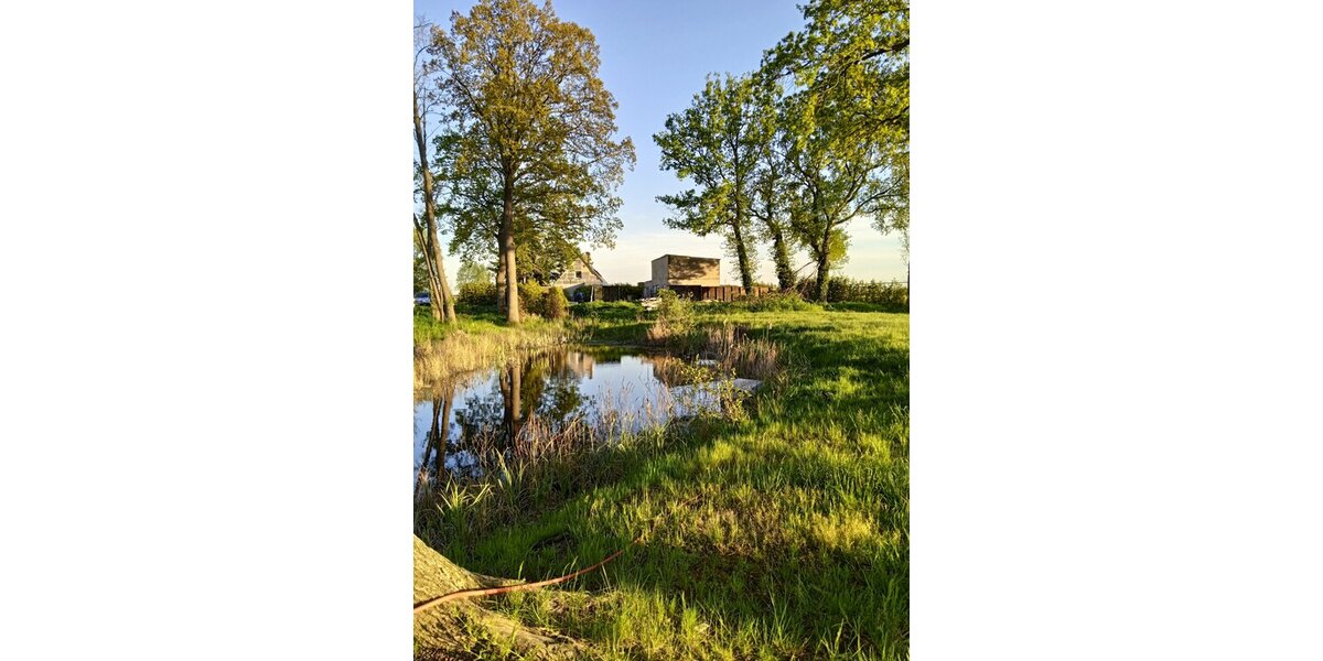 Pollitz, EFH + Nebenge. - Einfamilienhaus Pollitz Wahrenberg | Angebot:18871761