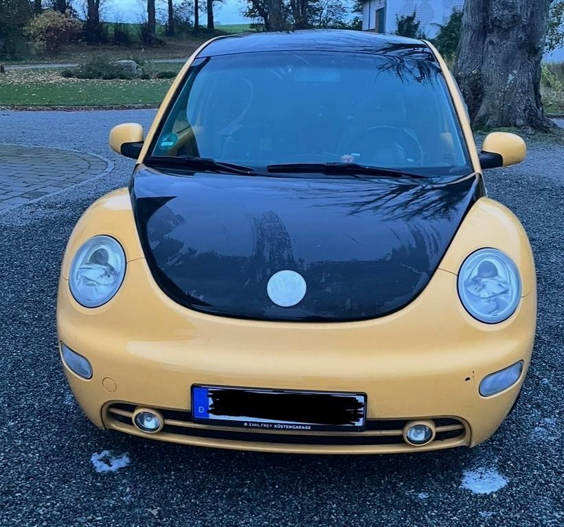 Beetle