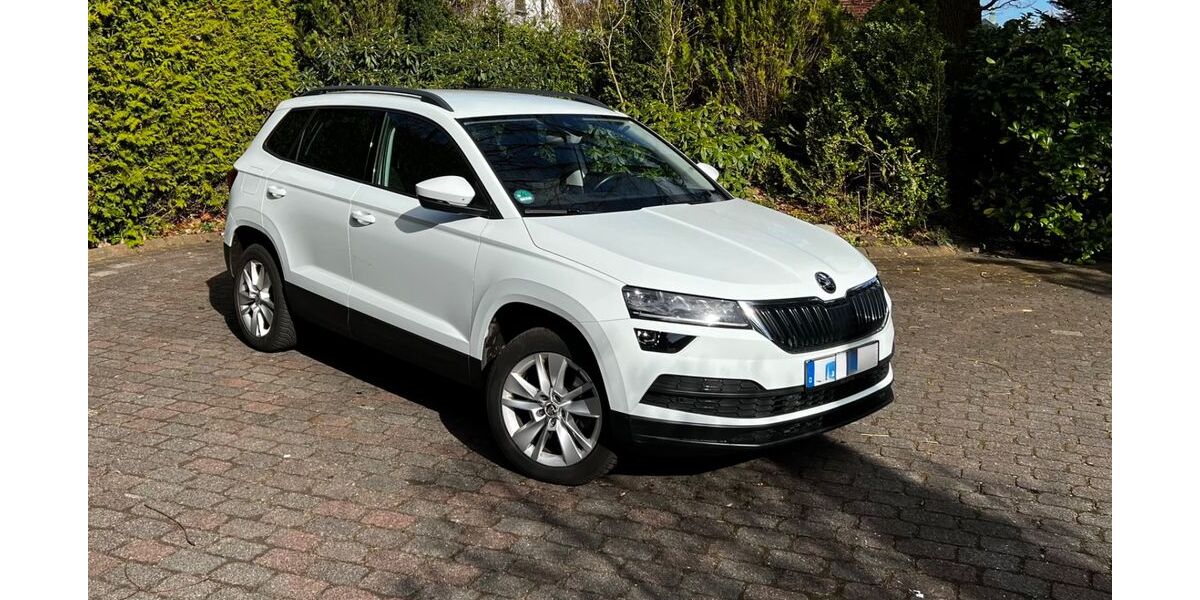 Skoda Karoq 223.000 km 10.300 &euro; Groß Niendorf 23816