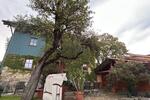 Einfamilienhaus Huglfing - 6 Zimmer, 203 m&sup2;, 1.050.000&euro; | Angebot:26800530