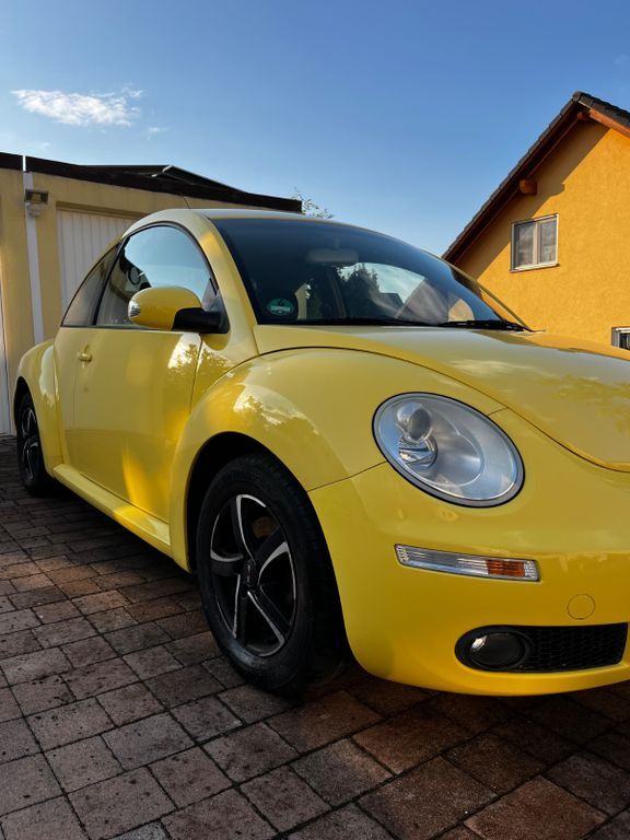 Beetle
