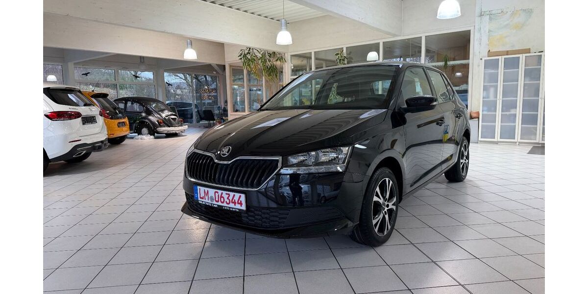 Skoda Fabia 32.000 km 10.999 &euro; Selters 65618
