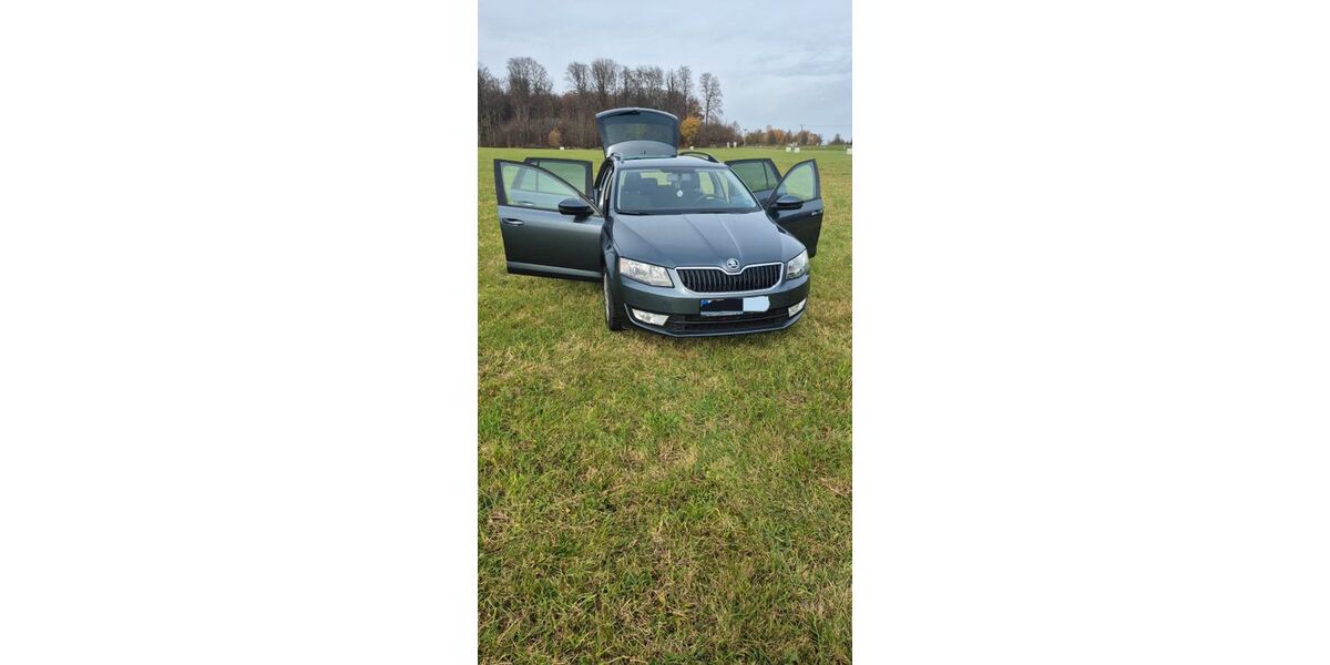 Skoda Octavia 176.900 km 7.000 &euro; Ötzingen 56244