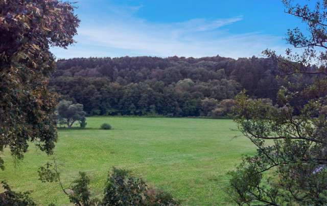 Grundstück zu verkaufen in Altenkirchen 89.000 € 1360 m²