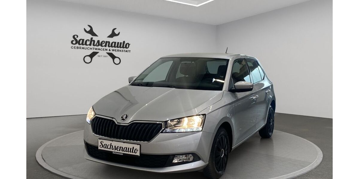 Skoda Fabia 35.250 km 10.800 &euro; Hartenstein 08118
