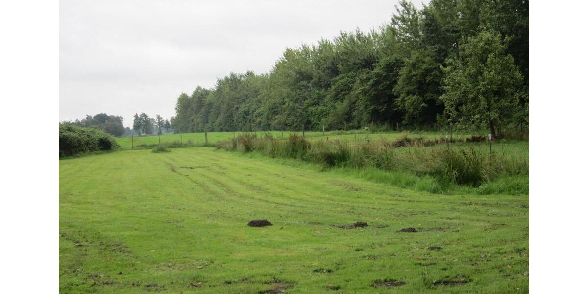 Einfamilienhaus Drochtersen - 3 Zimmer, 120 m&sup2;, 165.000&euro; | Angebot:24744138