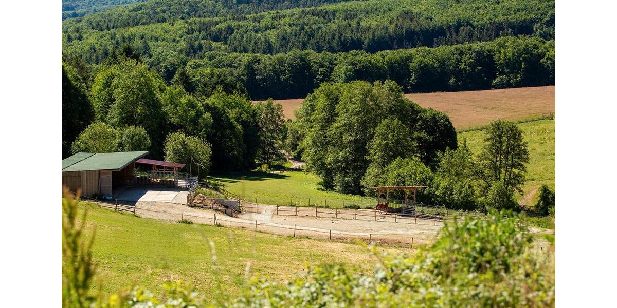 Einfamilienhaus Emmelshausen - 1.690.000&euro; | Angebot:26857438