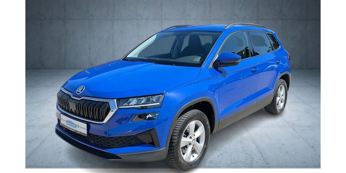 Skoda Karoq 130.250 km 18.950 &euro; Soltau 29614