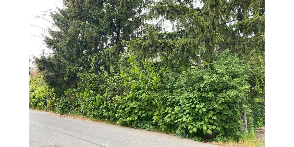 Grundstück Georgenthal - 27.500&euro; | Angebot:26459216