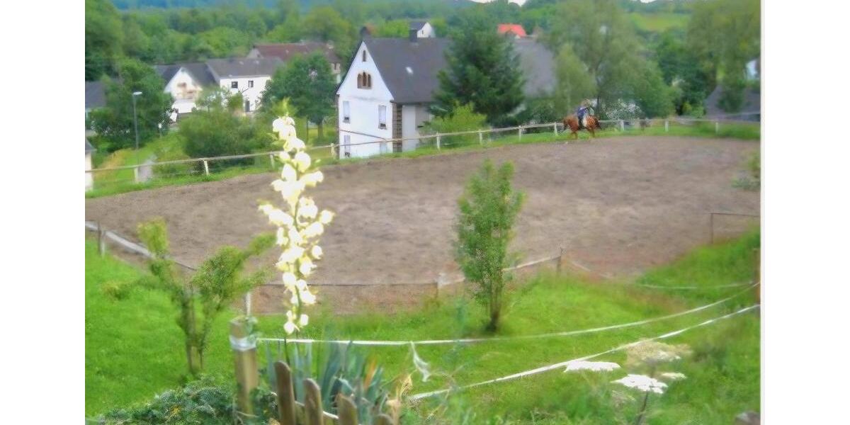 Einfamilienhaus Birkenfeld - 11 Zimmer, 350 m&sup2;, 849.000&euro; | Angebot:27145824