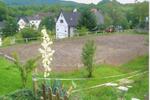 Einfamilienhaus Birkenfeld - 11 Zimmer, 350 m&sup2;, 849.000&euro; | Angebot:27145824