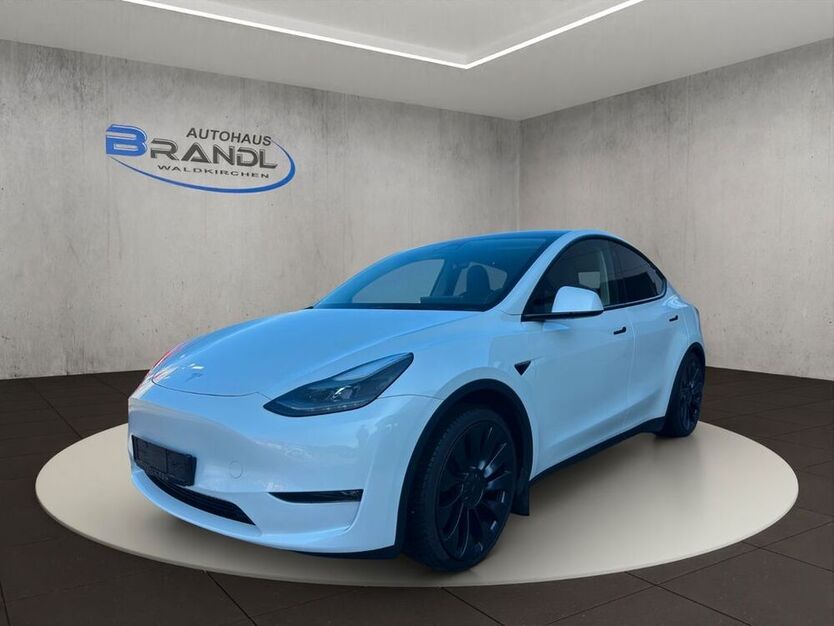 Model Y