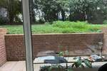 Gartenappartement - modernisiert - EBK - auch Studenten mit Elternbürgschaft 1 zimmer