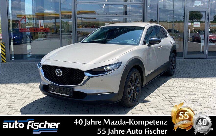 CX-30