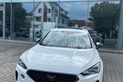 Cupra Formentor 9.000 km 29.980 &euro; Buggingen-Seefelden 79426