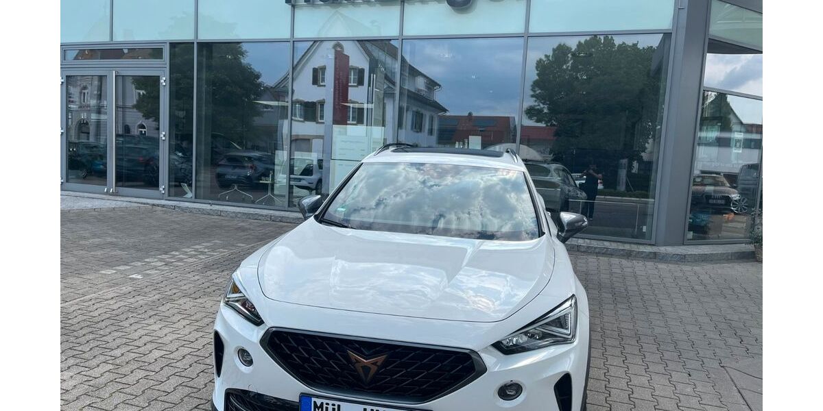 Cupra Formentor 9.000 km 29.980 &euro; Buggingen-Seefelden 79426