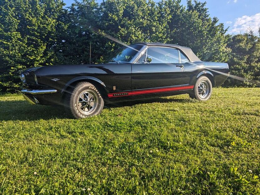 Mustang