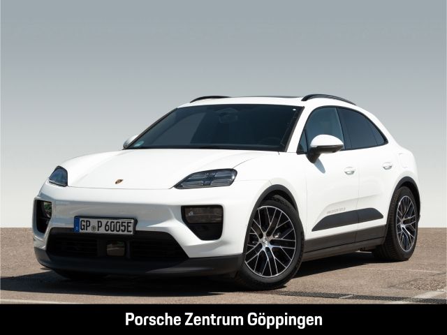 Macan