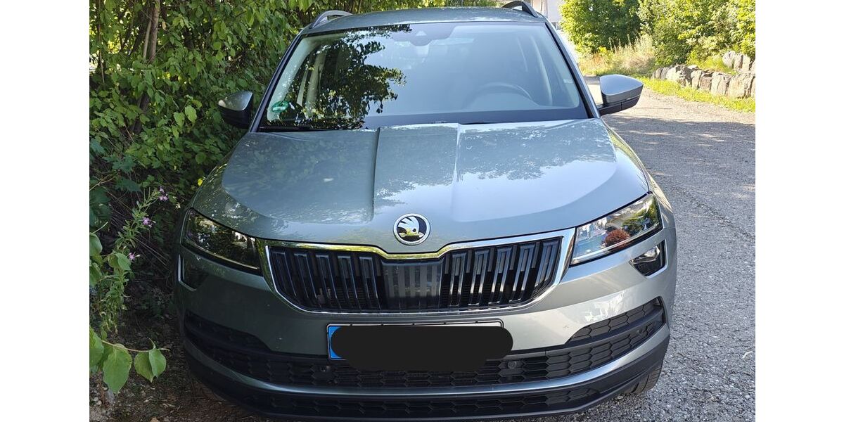 Skoda Karoq 110.500 km 19.100 &euro; Kempten 87437