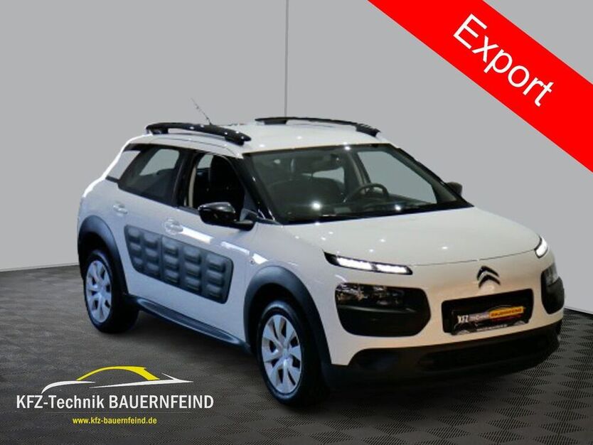 C4 Cactus
