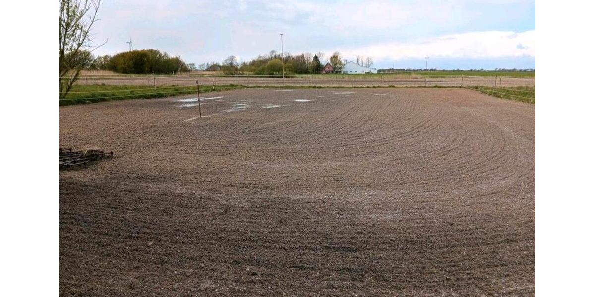 Bauernhaus, Landhaus Klanxbüll - 5 Zimmer, 140 m&sup2;, 355.000&euro; | Angebot:26809671