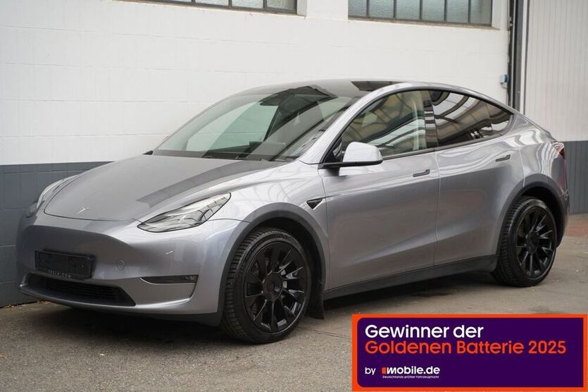 Model Y