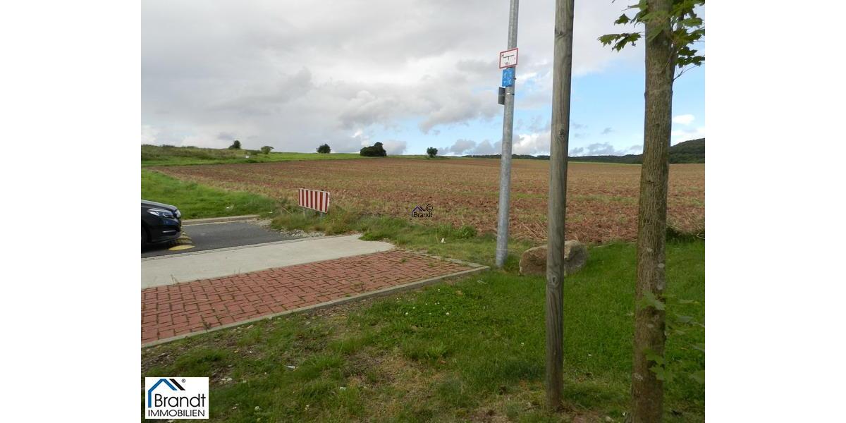 Der beste Standort für Ihren Erfolg! - Gewerbeobjekt Scheden | Angebot:7798267