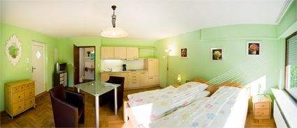 Mehrfamilienhaus, Wohnhaus Heidelberg Ziegelhausen - 6 Zimmer, 164 m&sup2;, 970.000&euro; | Angebot:25736715