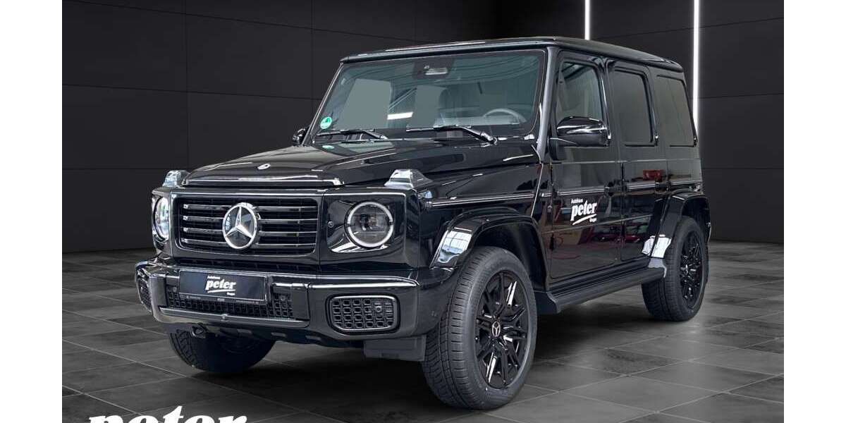 Mercedes-Benz G 450 4.100 km 173.869 &euro; Dessau-Roßlau 06847