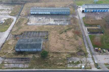 Halle in Stavenhagen 399.900 € 2117 m² zimmer