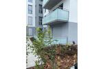 Erdgeschoßwohnung Frankfurt (Oder) - 1 Zimmer, 61 m&sup2;, 332.000&euro; | Angebot:27135037