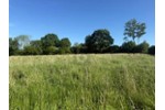 SONNIG, RUHIG & NATURNAH MIT AUSBLICK - Grundstück Riepsdorf | Angebot:27233869