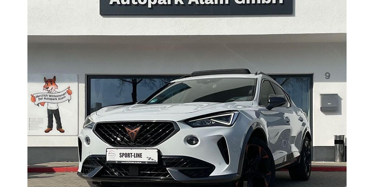 Cupra Formentor 127.600 km 26.999 &euro; Landshut 84030